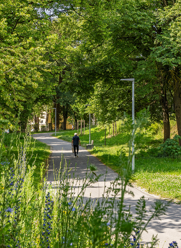 öffentlicher grünzug am steinpark, freising